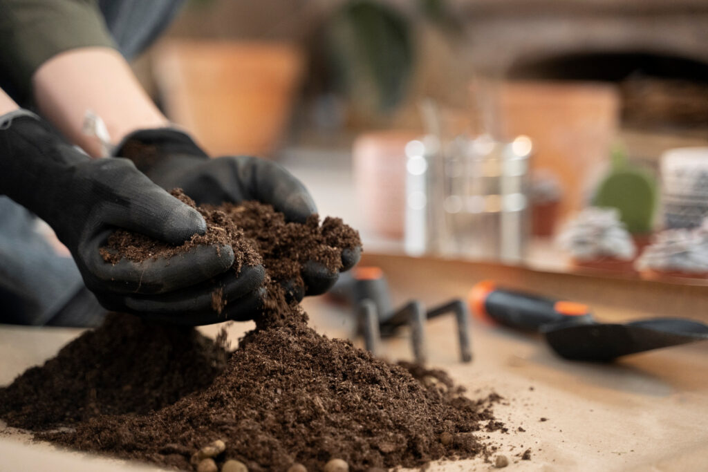 Fertilizer Alternatives That Actually Work