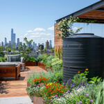 Smart Rainwater Harvesting Tips for Every Home