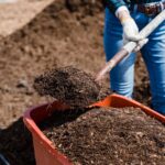 Composting and Soil Improvement Tips for Thriving Gardens