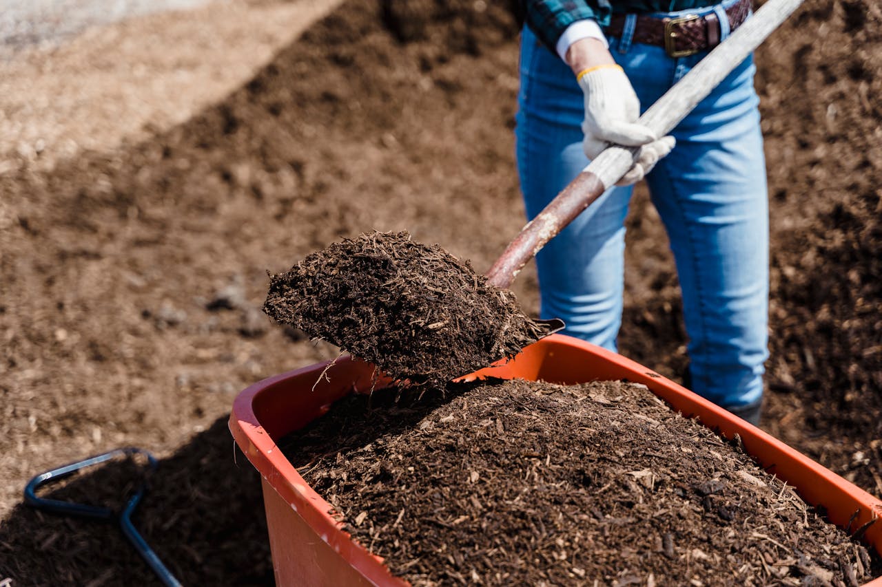Composting and Soil Improvement Tips for Thriving Gardens