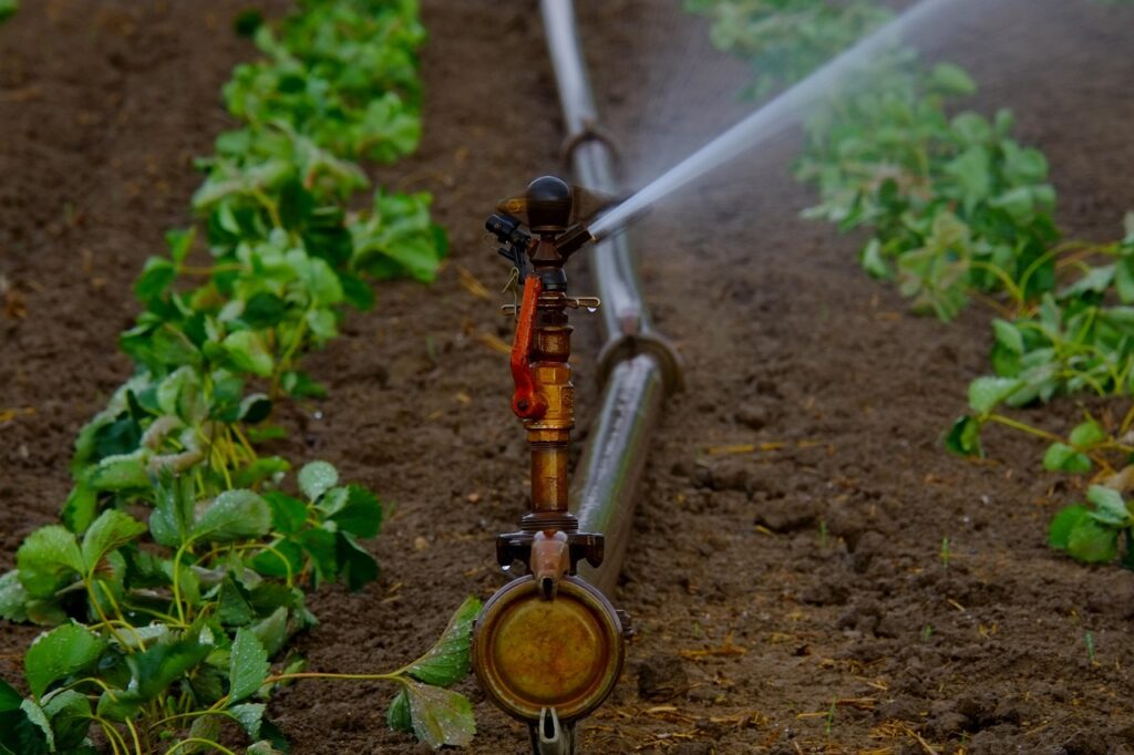 Water Saving Irrigation Techniques Smart Tips For Efficient Irrigation