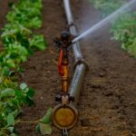 Water Saving Irrigation Techniques: Smart Tips for Efficient Irrigation