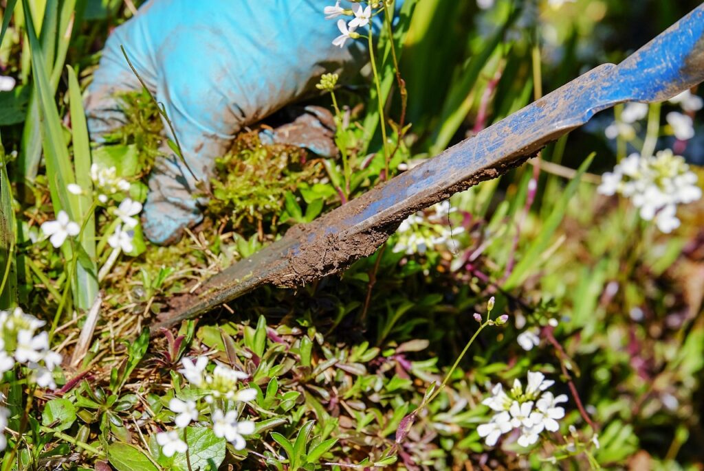 Gardening 3296781 1280