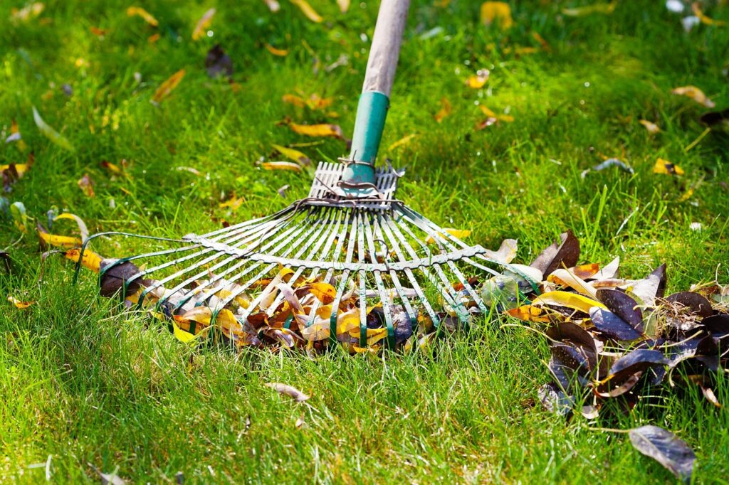 Grass 3148230 1280