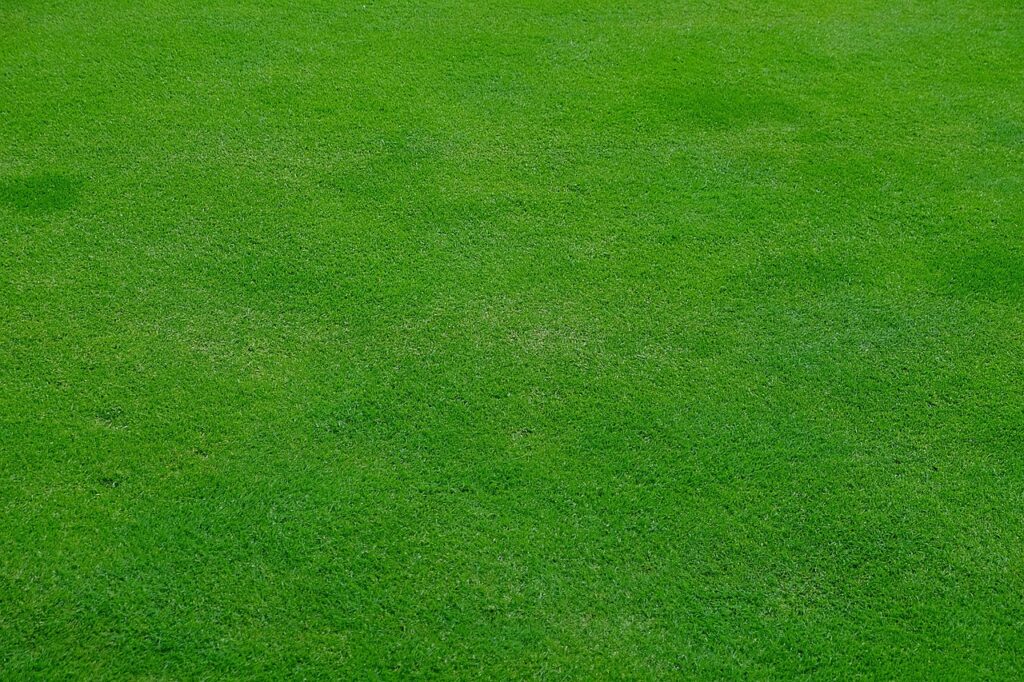 Lawn 2203494 1280