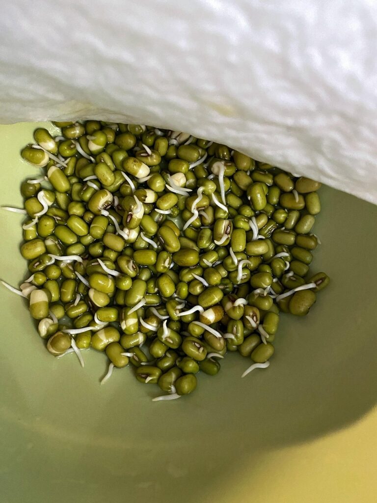 Mung Beans 5928237 1280