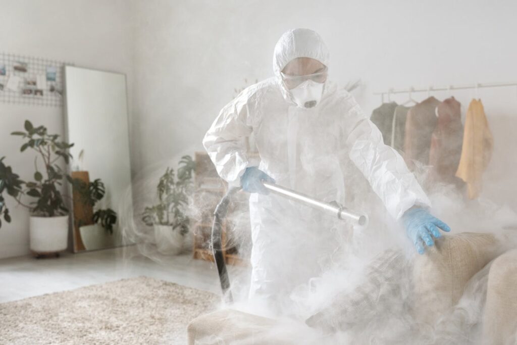 Pest Proofing Homes: Laughing at Bugs While We Guard