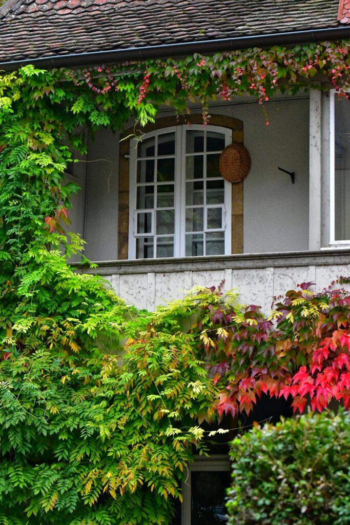 Pexels Peter Steiner 1973 560957992 16859189 1