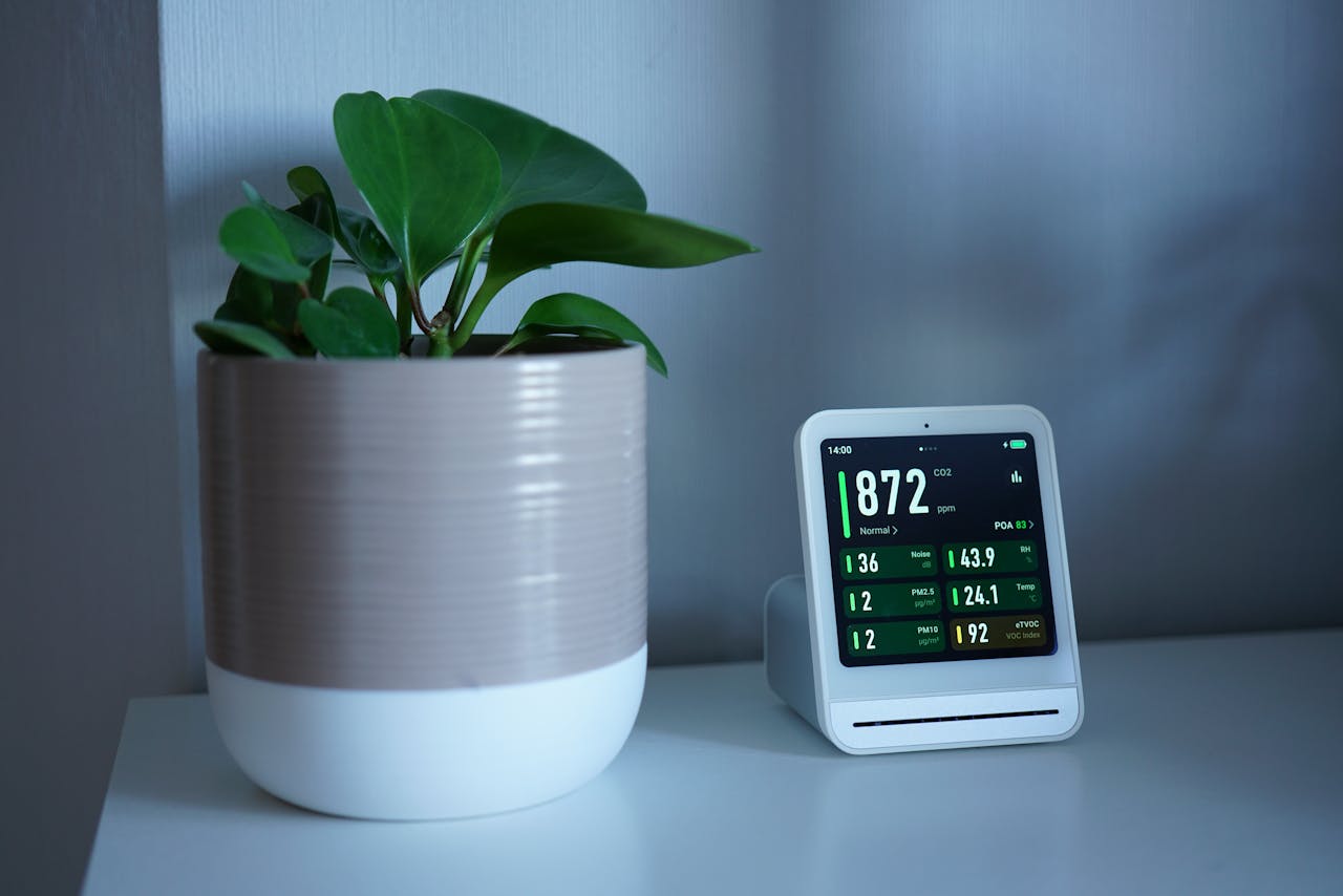 Air Quality Improvement Hacks for Fresher Living