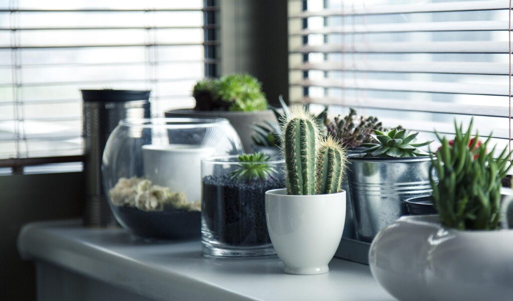 Pots 716579 1280